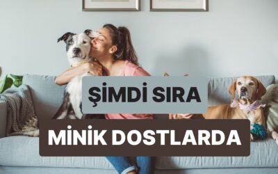 Evcil Hayvanın Senin Hakkında Ne Düşünüyor?