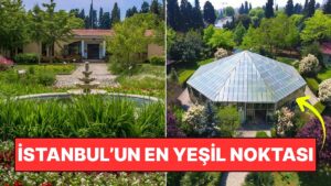 İstanbul'un Doğayla Buluşma Noktası: Zeytinburnu Tıbbi Bitkiler Bahçesi