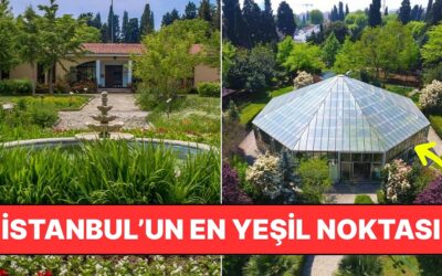 İstanbul'un Doğayla Buluşma Noktası: Zeytinburnu Tıbbi Bitkiler Bahçesi