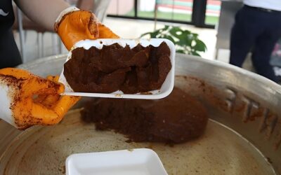 2004’ten Beri Yasak: Türkiye&apos;de Etli Çiğ Köfte Satışını Bitiren Zehirlenme Vakası