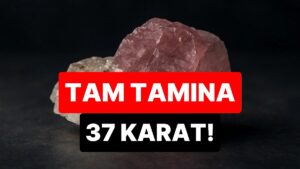Bir Yüzü Pembe, Bir Yüzü Renksiz: Dünyanın En Nadir Elması Bulundu! Değeri Paha Biçilemiyor