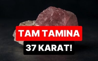 Bir Yüzü Pembe, Bir Yüzü Renksiz: Dünyanın En Nadir Elması Bulundu! Değeri Paha Biçilemiyor