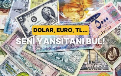 Hangi Para Birimi Seni Yansıtıyor?