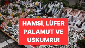 Denizler Şenlendi: Kasım Ayında En Lezzetli Hangi Balık Yenir?