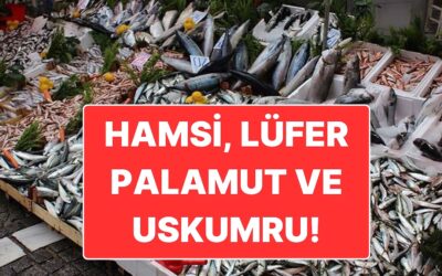 Denizler Şenlendi: Kasım Ayında En Lezzetli Hangi Balık Yenir?