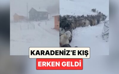 Kış Çok Erken Geldi: Trabzon, Rize ve Gümüşhane Yoğun Kar Yağışının Etkisiyle Beyaza Büründü