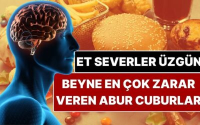 Et Sevenlere Kötü Haber: Beyne En Çok Zarar Veren Abur Cuburlar Açıklandı