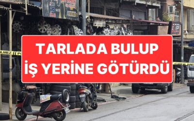 Tarlada El Bombası Bulan Çocuk: Babasının Dükkanına Götürünce Fark Edildi