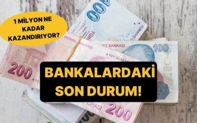 Mevduat Faizleri Yüzde 48&apos;e Kadar Yükseliyor: 1 Milyon TL&apos;nin Aylık Getirisi Belli Oldu!