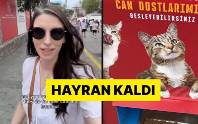 İstanbul&apos;u Ziyaret Eden Bir Turist Sokak Kedileri İçin Yapılan Mama Otomatına Çok Şaşırdı