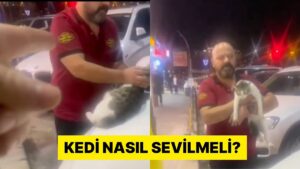 İstanbul&apos;da İki Kişi Arasında &quot;Kedi Sevme&quot; Tartışması Yaşandı
