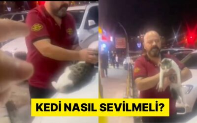 İstanbul&apos;da İki Kişi Arasında &quot;Kedi Sevme&quot; Tartışması Yaşandı