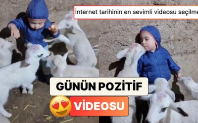 Kuzuları Tarafından Etrafı Sarılan Miniğin Sevimli Anlarını İzlerken Pamuk Gibi Olacaksınız