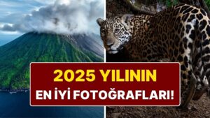National Geographic 2025&apos;in En İyi Fotoğraflarını Seçti: Kadraja Yansıyan 25 Unutulmaz An