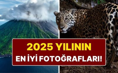 National Geographic 2025&apos;in En İyi Fotoğraflarını Seçti: Kadraja Yansıyan 25 Unutulmaz An
