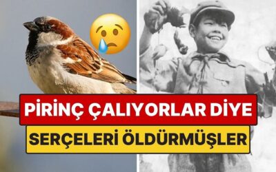 Çin&apos;in &quot;Pirinç Çalıyorlar&quot; Diye Serçelerle Girdiği İlginç Savaş: Sonu İyi Bitmedi