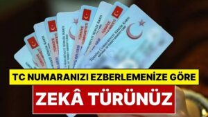 Yılların Efsanesi Yeniden Gündemde: T.C. Kimlik Numarasını Ezberleme Şekliniz Zekâ Tipinizi Ortaya Çıkarıyor