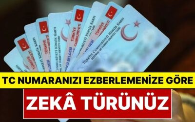 Yılların Efsanesi Yeniden Gündemde: T.C. Kimlik Numarasını Ezberleme Şekliniz Zekâ Tipinizi Ortaya Çıkarıyor