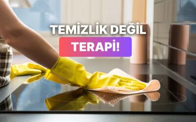 Sana Terapi Gibi Gelecek Ev İşi Hangisi?