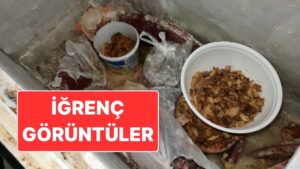 Pide İmalatı Yapan Dükkandaki Görüntüler Mide Bulandırdı: Bozulmuş Etleri Yedireceklerdi