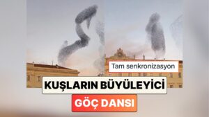 İtalya&apos;da Göç Eden Kuş Sürüsünün Gökyüzündeki Dansını İzlerken Hipnotize Olacaksınız
