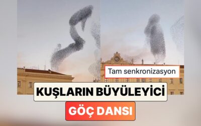 İtalya&apos;da Göç Eden Kuş Sürüsünün Gökyüzündeki Dansını İzlerken Hipnotize Olacaksınız