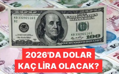 IMF&apos;nin Türkiye İçin Dolar ve Enflasyon Tahminleri Belli Oldu