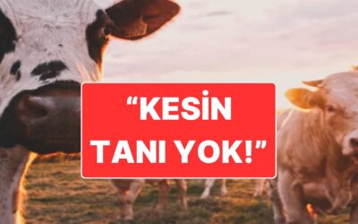 Ankara’da Deli Hastası Olduğu İddia Edilmişti: Hastane İddiaları Yalandı, Tetkiklerin Sürdüğünü Açıkladı