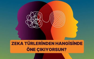 Zeka Türlerinden Hangisinde Öne Çıkıyorsun?