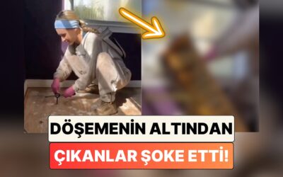 Gelen Sesten Şüphe Eden Aile Döşemenin Altından Çıkanları Görünce Şoke Oldu