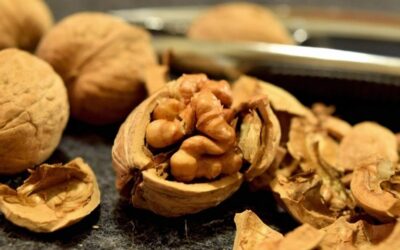 Hepimizin Çöpe Attığı Ceviz Kabuğu Aslında Bu İşe Yarıyormuş