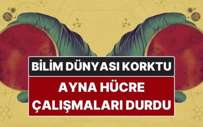 Yaşamı Tehdit Edebilecek &quot;Ayna Hücre&quot; Çalışmaları Durduruldu! Bilim Dünyası Alarmda
