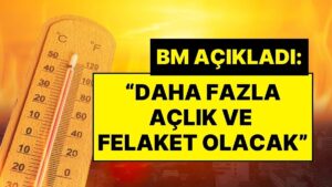 Birleşmiş Milletler’den Sıcaklık Uyarısı: “2030 Yılında Daha Fazla Açıklık ve Felaket Olacak”