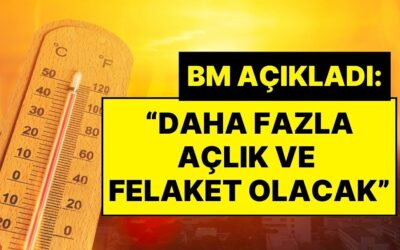 Birleşmiş Milletler’den Sıcaklık Uyarısı: “2030 Yılında Daha Fazla Açıklık ve Felaket Olacak”