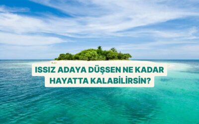 Issız Bir Adaya Düşsen Ne Kadar Hayatta Kalabilirsin?