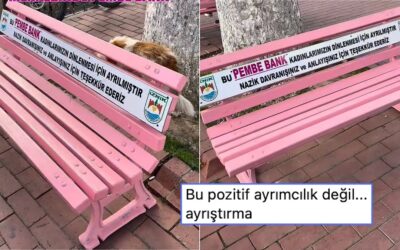 Pembe Otobüsten Sonra Pembe Bank: İznik Belediyesi Kadınlar İçin &apos;Pembe Bank&apos; Uygulamasını Hayata Geçirdi