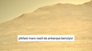 Memleket Hasretlerini İlginç Benzetmelerle Dile Getiren Kişiler