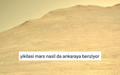 Memleket Hasretlerini İlginç Benzetmelerle Dile Getiren Kişiler