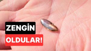 Ucuz Bir Hırdavat Mağazasından Aldıkları Aletle 2.79 Karatlık Elmas Bulan Aile