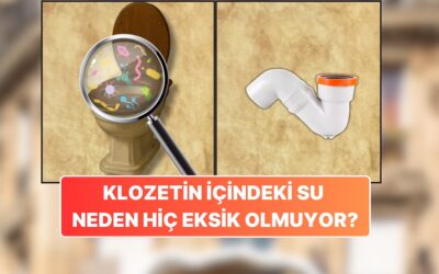 Klozetin İçinde Neden Hep Su Var? Meğer Sebebi Temizlik Değilmiş!