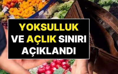 Ekim Ayı Açlık ve Yoksulluk Sınırı Açıklandı! Asgari Ücretin 4 Katından Fazla!