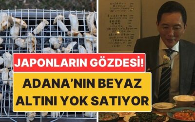 Japonya&apos;nın Gözdesi Oldu: Adana&apos;nın Beyaz Altını Sedir Mantarı Kapış Kapış Gidiyor!