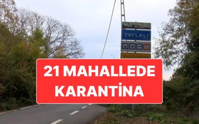 İstanbul’da Şap Hastalığı Karantinası: Şile’de 21 Mahallede Hayvancılık Hareketleri Durduruldu