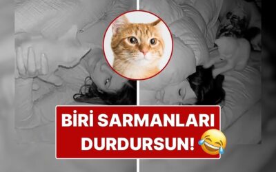 Sarman Kedinin Sahibini Bir Türlü Uyutmadığı Anlar Yüz Güldürdü