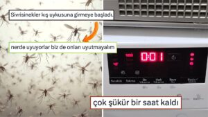 4500 TL'den Ucuz Telefondan Sivrisineklerden Alma İntikam Hazırlığı Yapana Son 24 Saatin Viral Tweetleri