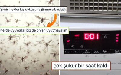 4500 TL'den Ucuz Telefondan Sivrisineklerden Alma İntikam Hazırlığı Yapana Son 24 Saatin Viral Tweetleri