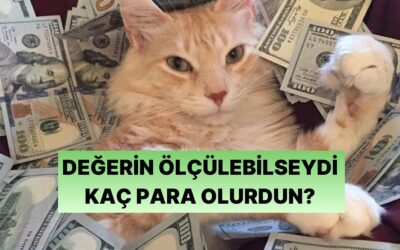 Hadi Eğlenelim: Senin Değerin Parayla Ölçülebilir mi?