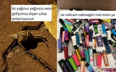 Salyangozlara Sorulacak Sorulardan Çakmak Hacılayan Arkadaşa Son 24 Saatin Viral Tweetleri