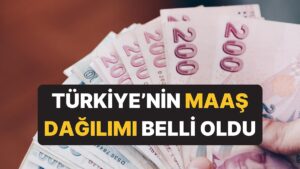 Türkiye&apos;de Çalışanların ve Emeklilerin Maaş Dağılımı Belli Oldu