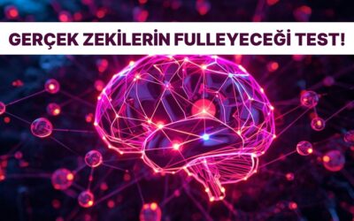 Bu Testi 140 IQ&apos;ya Sahip İnsanlar Fulleyebilir!